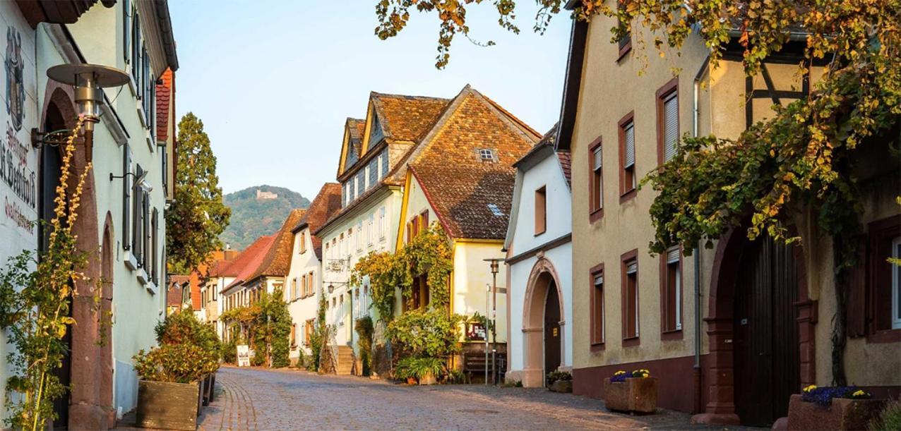 Hotel Rhodter Adler Rhodt unter Rietburg Esterno foto